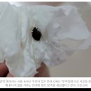 트리지움치과의원 이미지