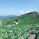 세븐일레븐 응암휴게소점 이미지