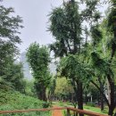 압구정동 주민센터 이미지