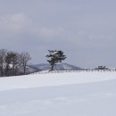 하늘목장 이미지