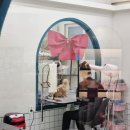 미니스톱 부산수영점 | 수영역·수영구애견미용 잘하는곳 쁘띠몽펫샵 꼬질이 다녀온후기