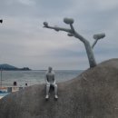 세파에 따르지    이미지