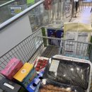 펜톤나인 이미지