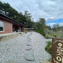 해피1000 마트 앞 이미지