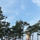 새벽대게 서초본점 | 강릉 안목해변 맛집 조개랑 대게랑 본점 솔직 후기(+야장, 굽는 법)