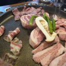 돼슐랭 티스토리