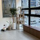 우리집동물병원 이미지