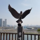 서울 응봉산 이미지