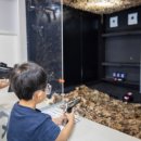 퍼니펜션 이미지