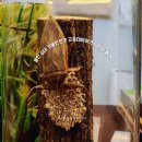 알찬유정란농장 | 경기도 용인 처인구 놀거리 곤충테마파크 박물관 용인 실내 가볼만한곳