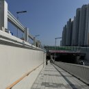 호돌이만두 | [대전역] 대전 노포 맛집 호돌이 만두 / 웨이팅 후기 예약꿀팁후기