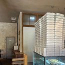 씨유 울산달동블루점 | [오보드나타] 울산 남구 달동 오보드나타 따끈한 에그타르트 맛집 카페 메뉴, 주차, 포장 내돈내산 후기