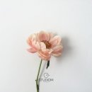 스튜디옴 이미지