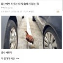 마지막입니다, 블로그 제출합니다.