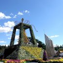 제20회 익산 천만송이 국화축제 이미지