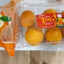 연미정 민박 이미지