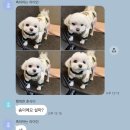 커피 플러스 메이트
