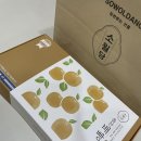 해동유정란농장 | 울산기념품 울산역에서 구입한 소월당 배빵 내돈내산 후기