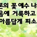 샤론의꽃