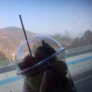 파랑새목장 | 여행 | 정동진, 강릉항 안목해변, 강릉커피거리, 대관령 하늘목장 | 내돈내산 파랑새투어 국내여행 후기