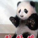 엔와이스토리
