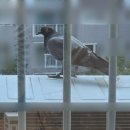 비둘기아파트경로당 이미지