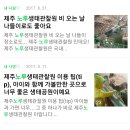 노루생태관찰원 이미지