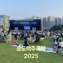 낭만 한 잔, 추억 한 모금 | [공지] 2025 송도 맥주축제 후기 | 김범수 공연과 맥주 한잔의 여름밤