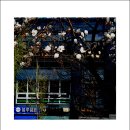 블루클럽 이미지