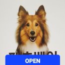 반려동물 <b>펫푸드</b>전문 쇼핑몰 오픈