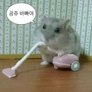 모란소주방 이미지