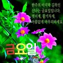 인사말 이미지 5.10(금요일) 이미지