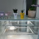 멜니니케이커리(melnini cakery)