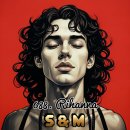 에스앤엠(S&M)