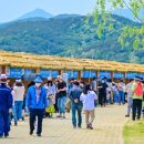 피아노교실(야간) | 봄 축제