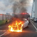 무진대로 이미지