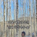 자작나무숲 가는 길 | 인제 자작나무숲 겨울여행 후기｜주차·입산시간·코스까지 한눈에 정리!!