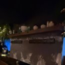 고도 | 대구 혼술바 고도 후기｜혼자 가도 어색하지 않은 소통형 바