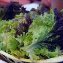 대원숯불갈비 이미지