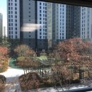 센트럴119공인중개사사무소 이미지