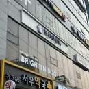 브라이튼독 | 강서구 애견유치원 브라이튼독에서 말티푸 가위컷 대만족 후기