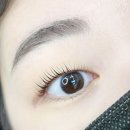 다이아바 | 판교역속눈썹펌 다이아코스메틱, 뿌리바짝 후기