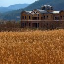 창선생활체육공원 이미지