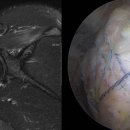 든든한병원 이미지