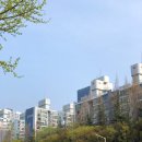 관악타운(동성,현대,청구) | [임장] 범계역 인근 외곽 _ 관악 타운, 부영, 성원