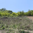 금영농장 이미지