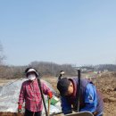 정윤농장 이미지