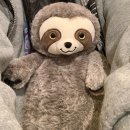 개 이쁘개 | [호주 워홀 +16] Dj 친구 사귀면 생기는 일. 그리고 대기업의 러브콜을 받다