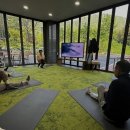 케이미래의원 이미지