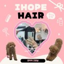 아이헤어 | 평택역 미용실 아이홉헤어 블랙 염색 후기